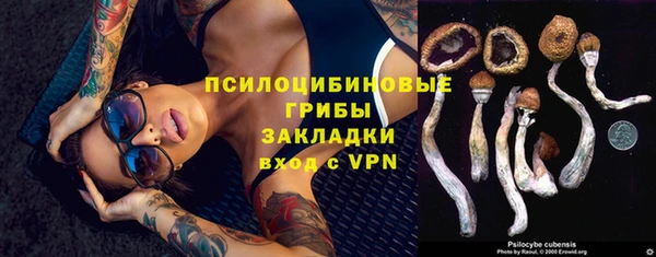 ешки Кукмор